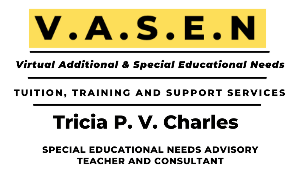 V.A.S.E.N. (Virtual Additional & Special Educational Needs)