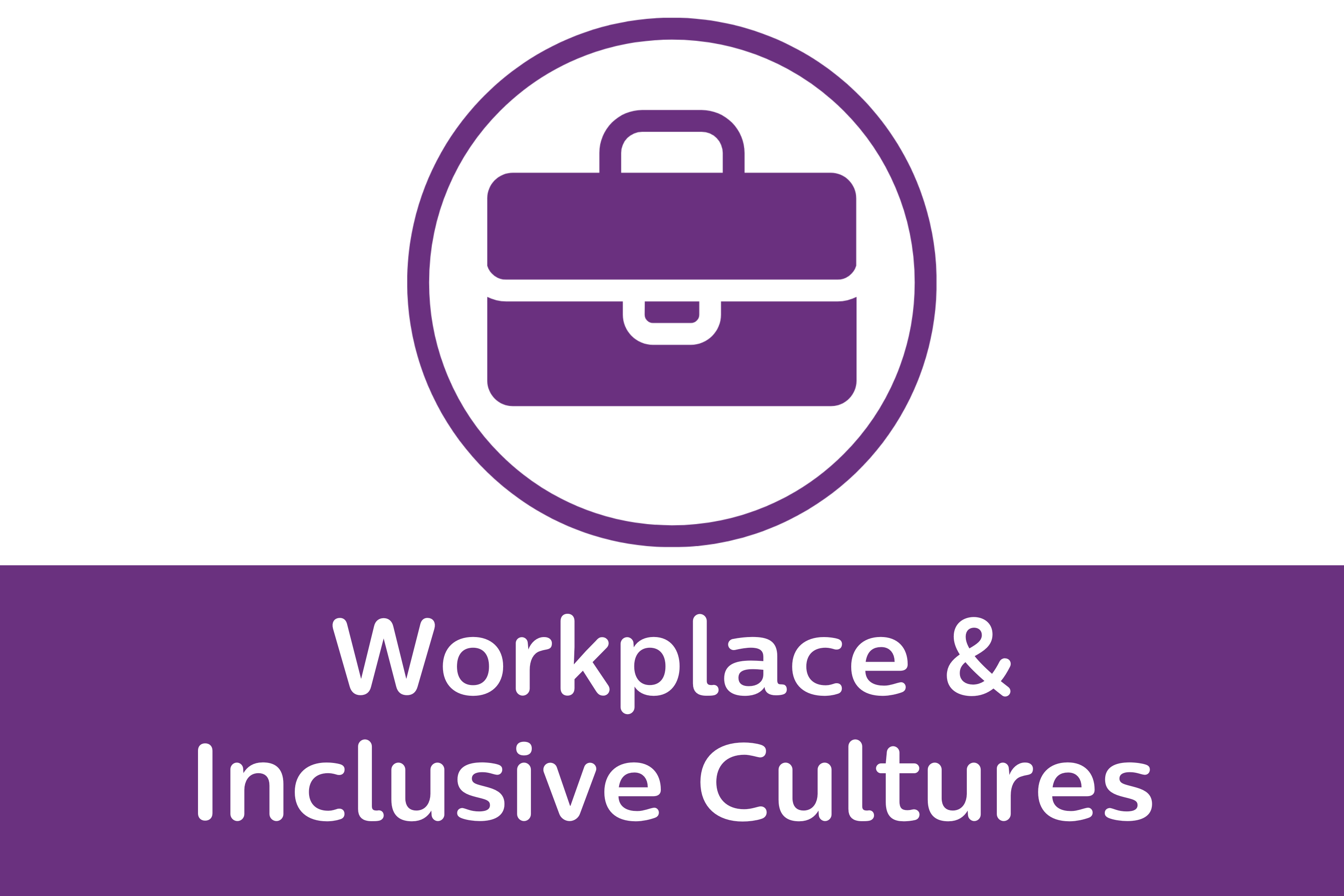Workplace & Inclusive Cultures Priority Action Areas